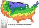 average temp usa