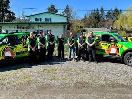 Image result for Mole Valley Bowmen