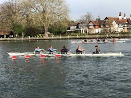 Image result for Marlow Rowing Club