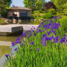 Image result for japanese gardens...