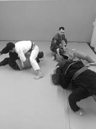 Image result for 210 JiuJitsu
