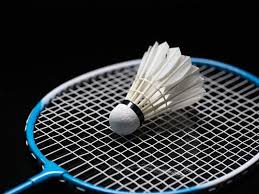Image result for Wootton Bassett Badminton Club