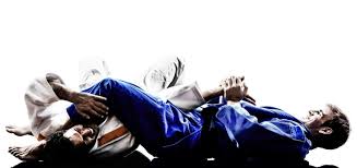 Image result for Felixstowe Judo club