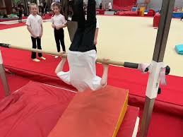 Image result for Waveney Gymnastics Club