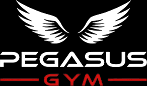 Image result for Aylesbury Gymnastics Club