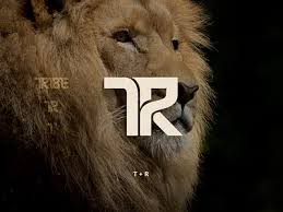 Znalezione obrazy dla zapytania tr