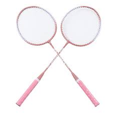 Image result for Guernsey Schools Badminton Club
