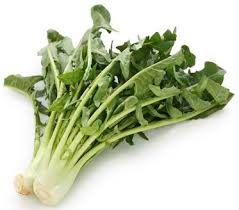 Image result for Zichorie