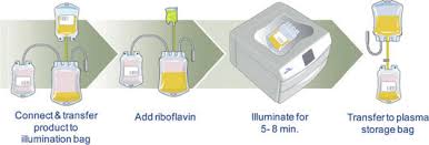 Image result for Caridian BCT Trima