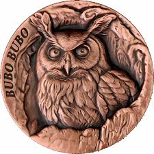 Attēlu rezultāti vaicājumam “Bubo bubo”