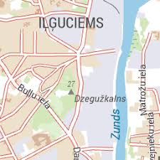 Attēlu rezultāti vaicājumam “Badhamiopsis scripta”