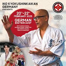 Image result for Tokei Martial Arts Club