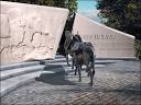 photos of heroic animals