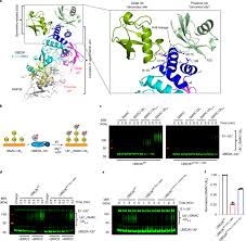 Image result for    ^   u   b N