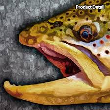 Attēlu rezultāti vaicājumam “Salmo trutta”