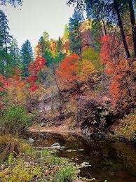 Image result for $$fall_akte__ort$$