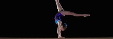 Image result for Elements Acro