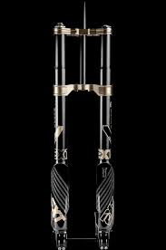 Image result for selvatici tehron