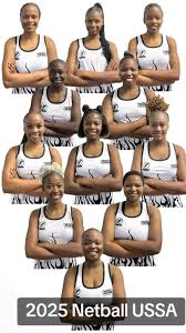 Image result for Comets Netball Club