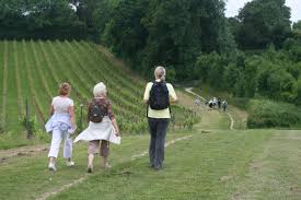 Image result for Ramblers Association - Mole Valley Group
