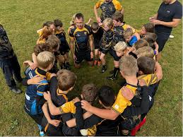 Image result for Esher Rugby Football Club