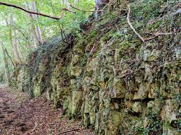 Image result for Dearne Valley Devils