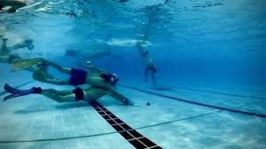 Image result for TAROT Octopush Club