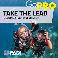 Image result for Divemaster Scuba