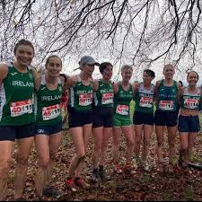 Image result for County Antrim Harriers