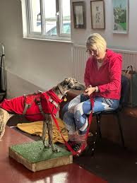 Image result for Bideford Parkour Club