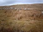 Like a scene from a B movie, these staring sheep materialised while my back - via Daymix