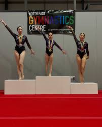 Image result for North East London Gymnastics Club