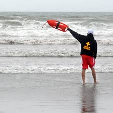 Image result for Dover Lifeguard Sc