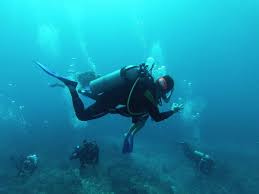 Image result for Aztec Divers