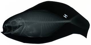 Image result for Caranx bartholomaei