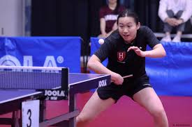 Image result for Table Tennis