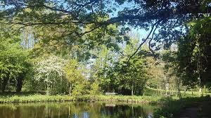 Image result for Cheadle Angling Club