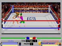 Image result for 4D Sports Boxing