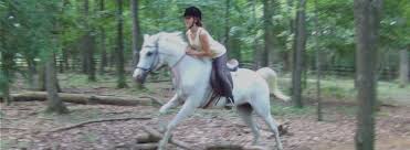 Image result for The Riding Centre