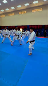 Image result for Wokingham Shotokai