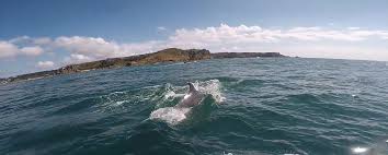 Image result for Jersey Sea Sport Centre - St Aubin, Jersey