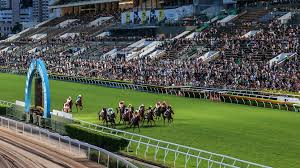 Image result for The Horse Racing Club