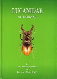 Attēlu rezultāti vaicājumam “Lucanidae”