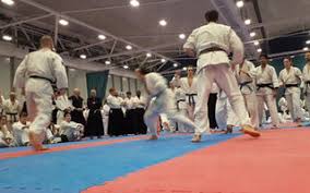 Image result for Surrey Ju - Jitsu Kick Boxing Club