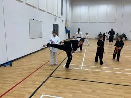 Image result for Junsui Shotokan Karate Do