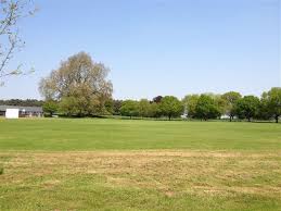 Image result for Peper Harow Cricket Club
