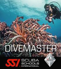 Image result for Divemaster Scuba