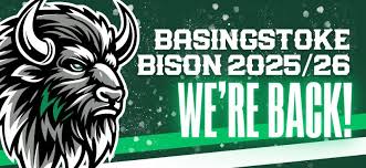 Image result for Basingstoke Bison Ice Hockey Club