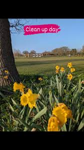 Image result for Alfold Stoolball Club