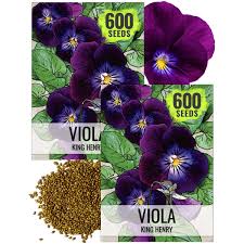 Attēlu rezultāti vaicājumam “Viola uliginosa bud”